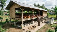 6 Model Kandang Ternak dengan Jalur Pembersihan yang Praktis, Bikin Lebih Higienis