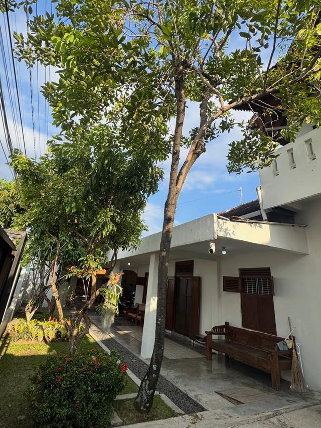 1. Eksterior Dominasi Putih dan Kayu Jati