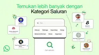 Pencarian WhatsApp Channel Makin Mudah, Kini Hadir Per Kategori
