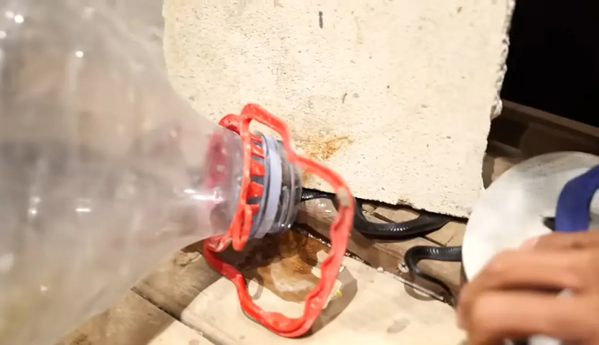 [Youtube/Baim Paula]