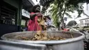 <p>Pedagang saat memasak ketupat yang akan dijual di pinggir jalan kawasan Rawamangun, Jakarta, Senin (19/7/2021). Pedagang membanderol ketupat siap santap tersebut mulai dari harga Rp30 ribu hingga Rp40 ribu per ikat (10 buah) tergantung besar kecil ukuran. (merdeka.com/Iqbal S. Nugroho)</p>