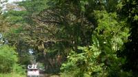 Salah satu titik jalan dari Dermaga Sodong menuju Lapas Karanganyar dan lapas lain di Nusakambangan, Cilacap. (LIputan6.com/Muhamad Ridlo)