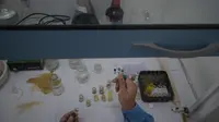 Peneliti menambahkan cairan ke sampel-sampel cairan herbal saat penelitian obat herbal COVID-19, di Pusat Penelitian Kimia LIPI di Serpong, Banten, 6 Mei 2020. Peneliti LIPI mengembangkan penelitian daun rhino ketepeng dan daun benalu sebagai obat herbal untuk pasien COVID-19. (Xinhua/Veri Sanovri)