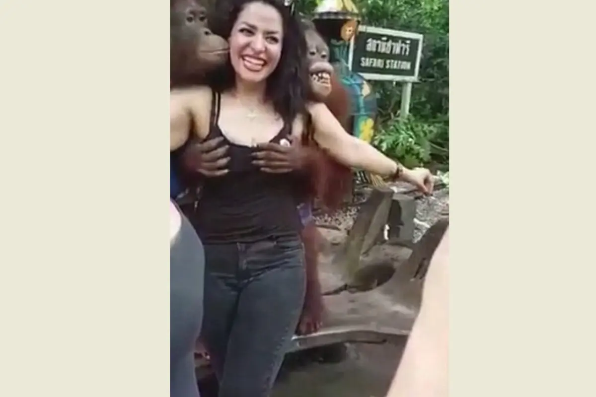 Wanita dan Orangutan, Ada yang Aneh dengan Foto Ini?