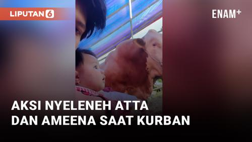 VIDEO: Atta Halilintar Taruh Ameena di Timbangan Daging Kurban, Netizen: Gemoy