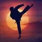 ilustrasi karate  (sumber: Pixabay)