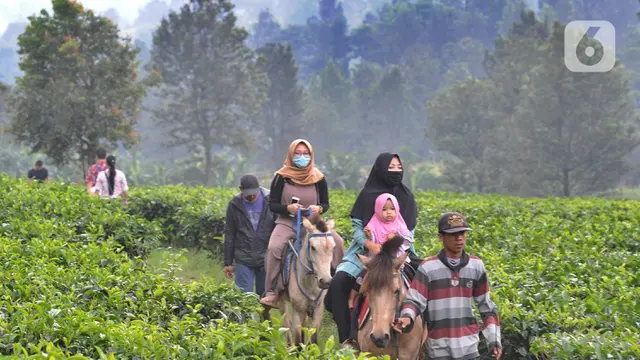 Keseruan Ngabuburit di Kebun Teh Kawasan Puncak
