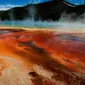 Taman Nasional Yellowstone (Reuters)