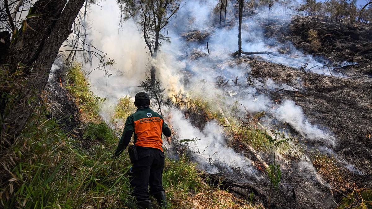 Pemadaman Terus Dilakukan Setelah Karhutla Melanda Gunung Bromo
