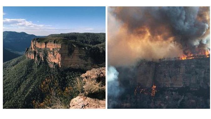 Sebelum dan Sesudah Kebakaran di Australia (Sumber: Boredpanda)