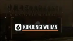 THUMBNAIL WHO