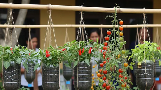 Inspirasi Kebun Gantung dari Botol Air Mineral untuk Ibu-Ibu PKK