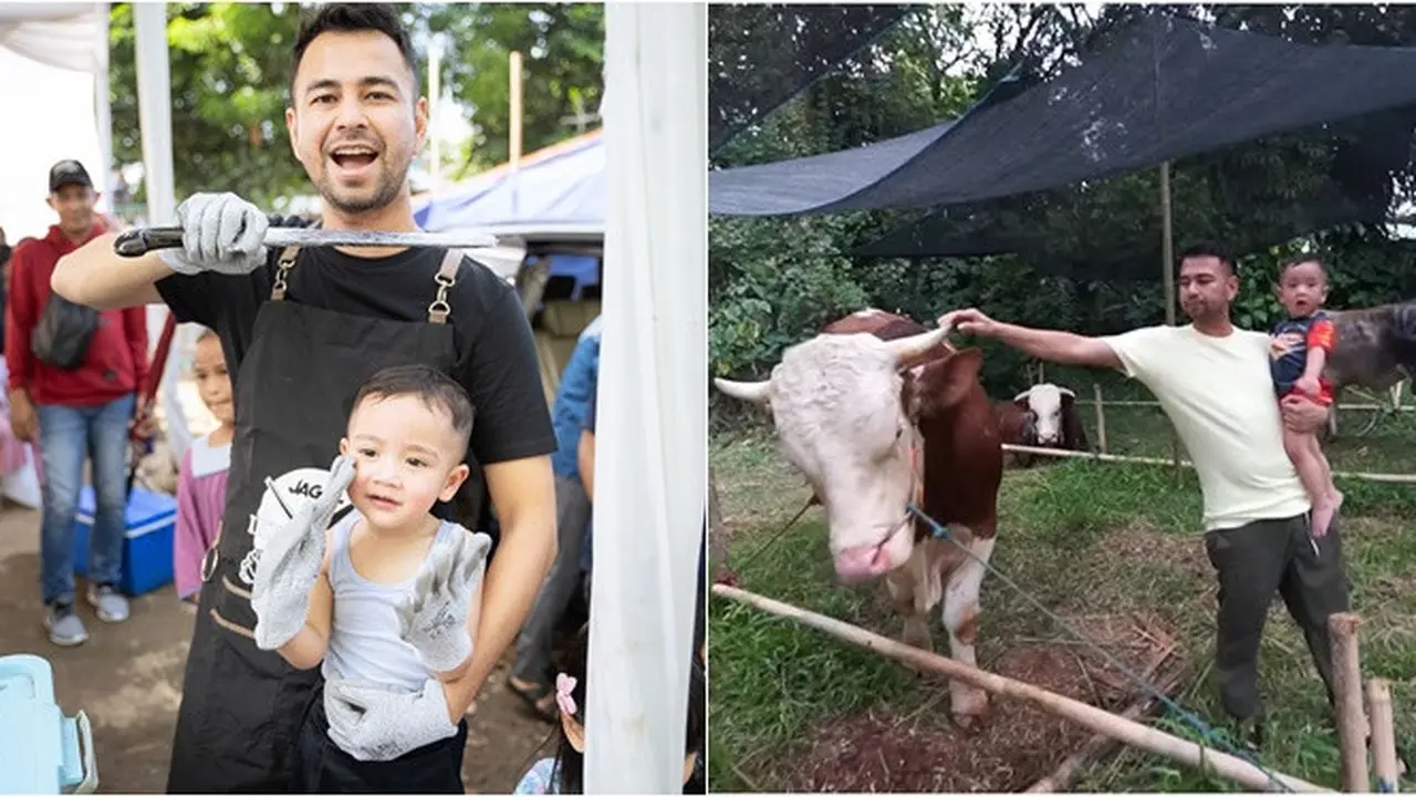 6 Potret Cipung Kurban Sapi 1,1 Ton Pakai Uang Sendiri, Bayi dengan Endorse Termahal