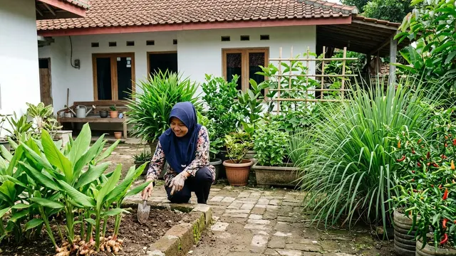 Kebun Rempah Lengkap untuk Stok Dapur