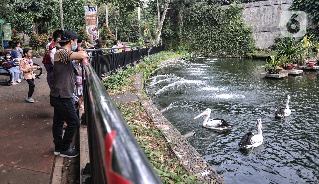 Wisatawan saat mengamati salah satu koleksi satwa di Taman Margasatwa Ragunan, Jakarta, Jumat (14/5/2021). Taman Margasatwa Ragunan diperuntukan khusus bagi warga ber-KTP DKI Jakarta. (merdeka.com/Iqbal S. Nugroho)