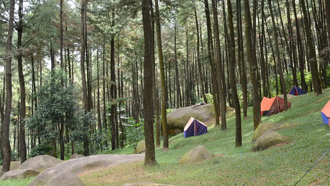 Wisata Gunung Pancar