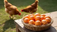 5 Ternak Kecil untuk Tambahan Uang Dapur, Modal Kecil Untung Besar