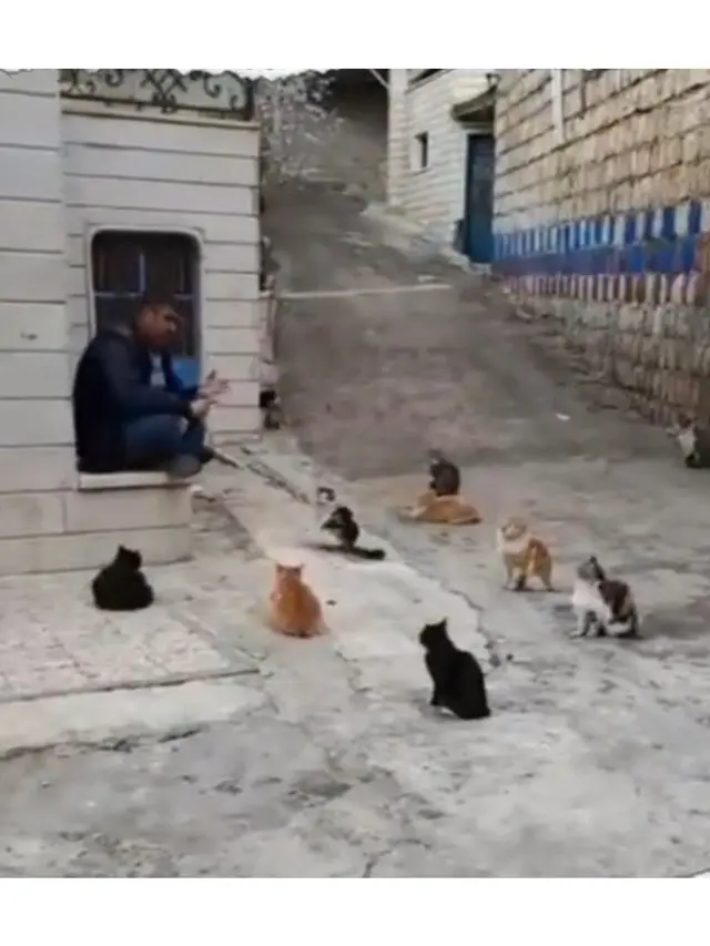 6 Potret Lucu Kucing Menunggu Buka Puasa, Ikut Bersabar