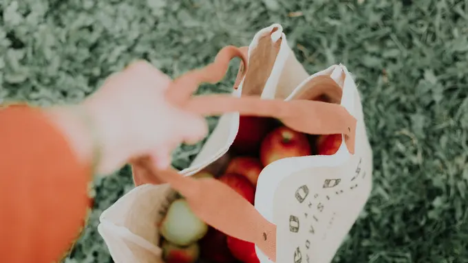 4 Tips Sederhana Menerapkan Gaya Hidup yang Ramah Lingkungan Mulai dari Rumah