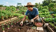 Cara Menanam Bawang Merah untuk Pemula, Panduan Lengkap dari Bibit hingga Panen