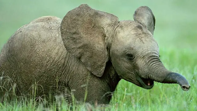 Foto: copyright germaneconsulting.com