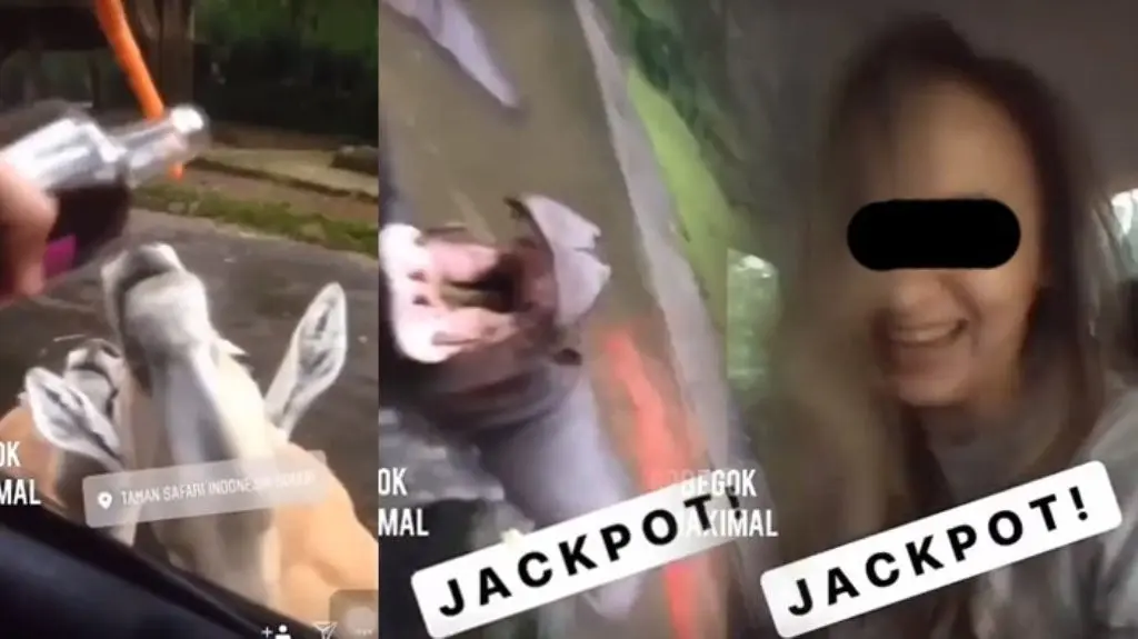 Video yang memperlihatkan beberapa remaja cekoki hewan dengan minuman keras di Taman Safari ini langsung viral!