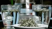 Segmen 3: Deteksi Dini Kanker hingga Belanja Tanpa Plastik