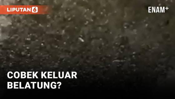 VIDEO: Cobek dibakar terus Keluar Belatung, Kok Bisa?