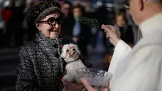 Seorang pendeta memberkati anjing saat upacara Saint Anthony di Madrid, Spanyol, Selasa (17/1). Saint Anthony adalah orang suci yang dianggap sebagai pelindung hewan di Gereja Katolik. (AP Photo / Daniel Ochoa de Olza)