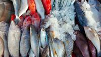 Ilustrasi ikan laut. (Image by bearfotos on Freepik)