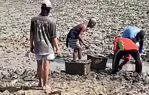 Sungai Silugonggo Mengering, Ikan-Ikan Mati, Warga Pati Terancam Krisis Air