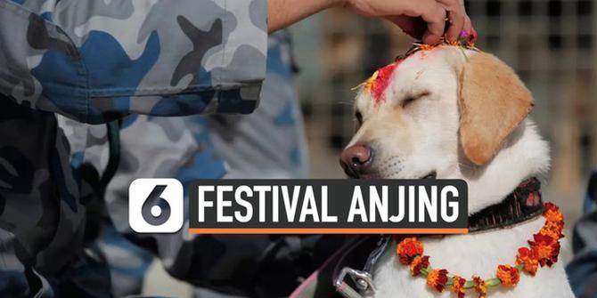 VIDEO: Anjing Disembah dalam Festival Kukur Tihar di Nepal