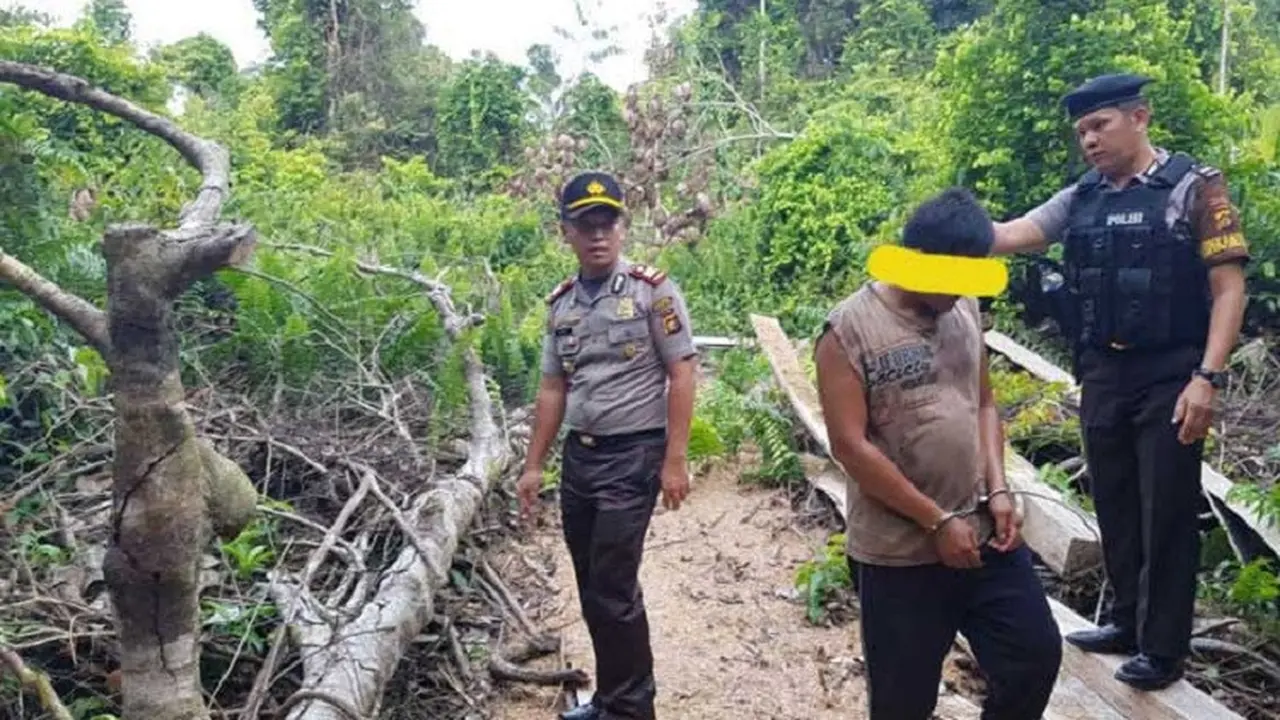 Perambah hutan Jambi