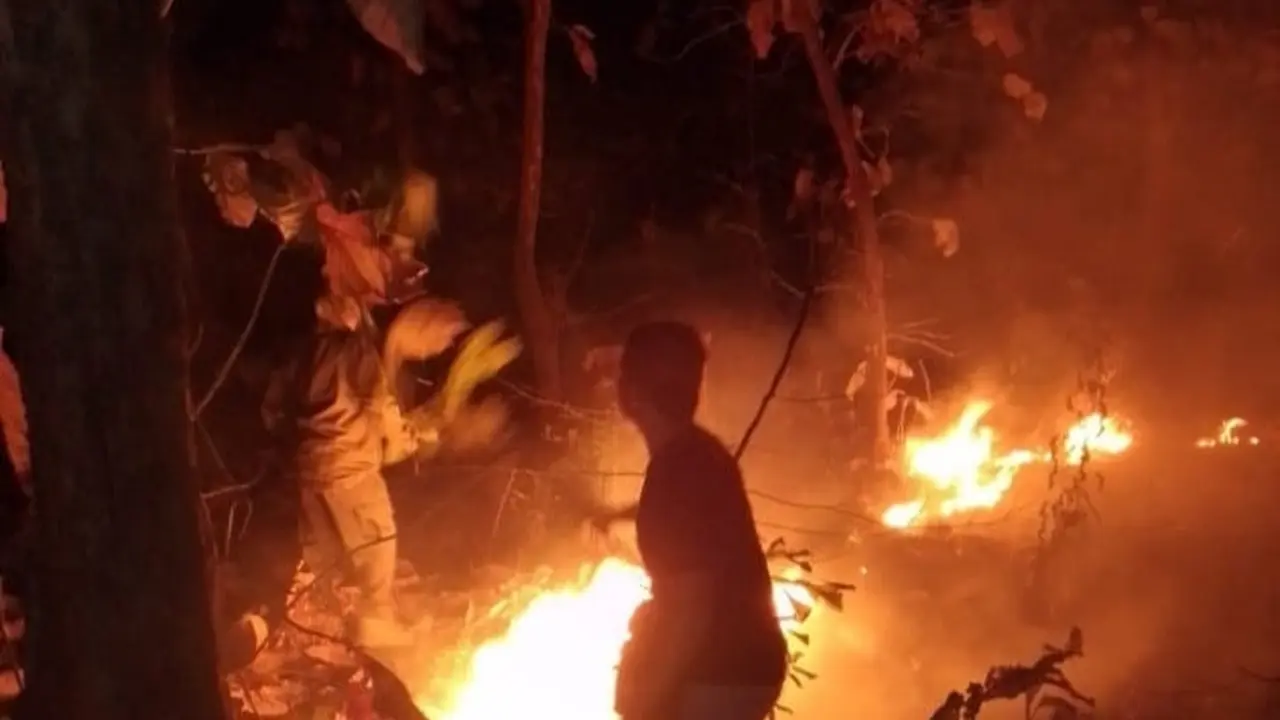 Proses pemadaman api di Kawasan Taman Nasional Baluran (Istimewa)