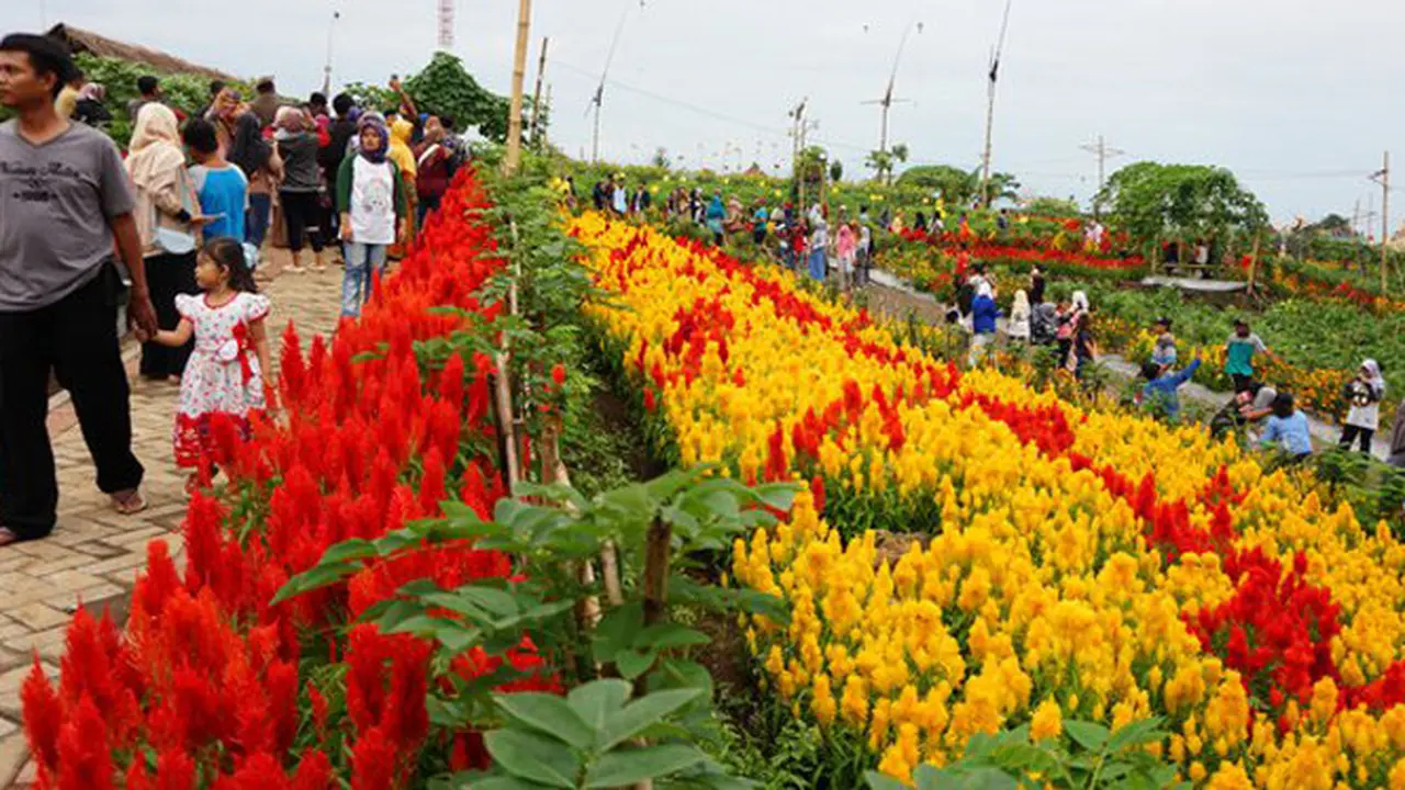 Agro Expo Banyuwangi