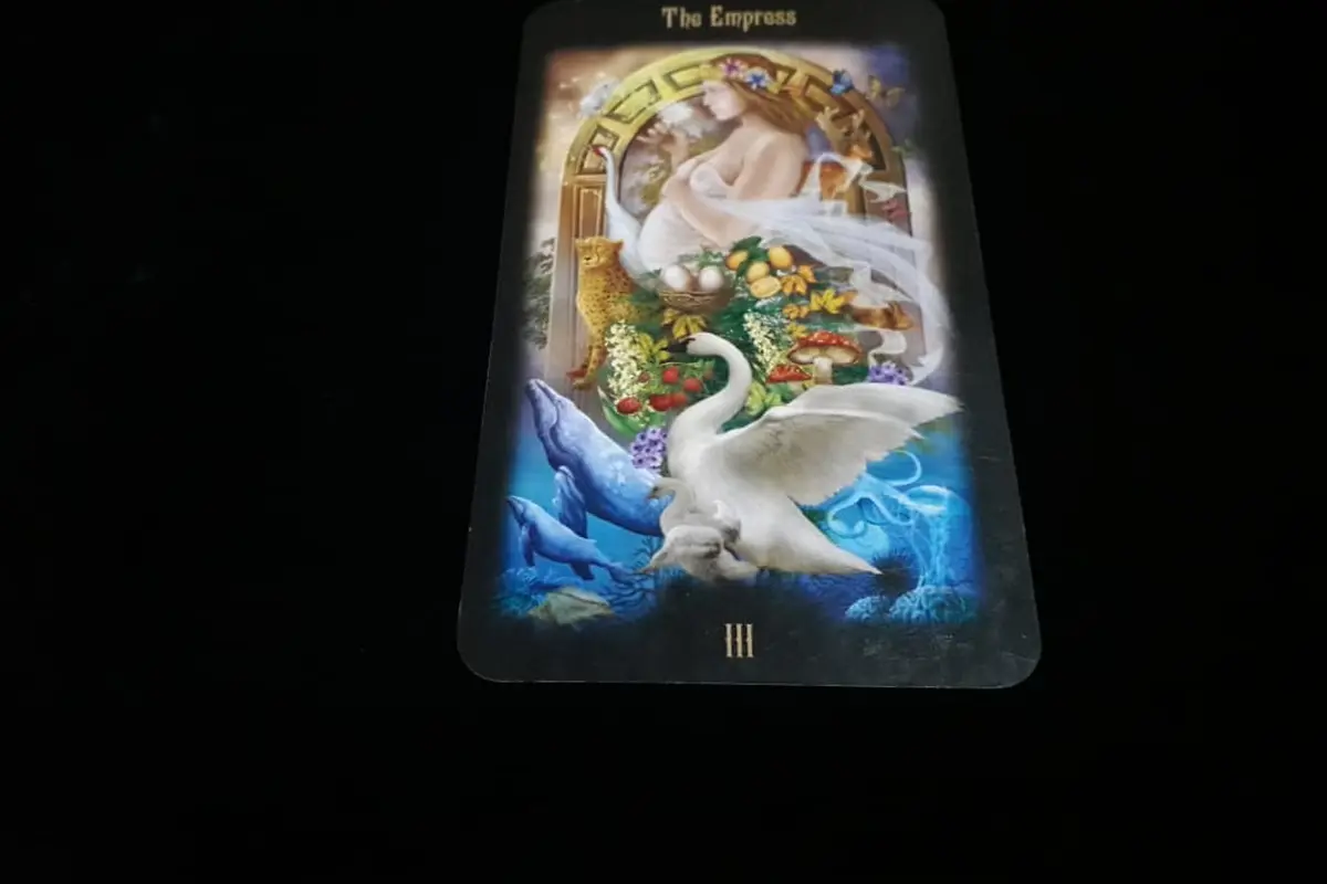 Tarot