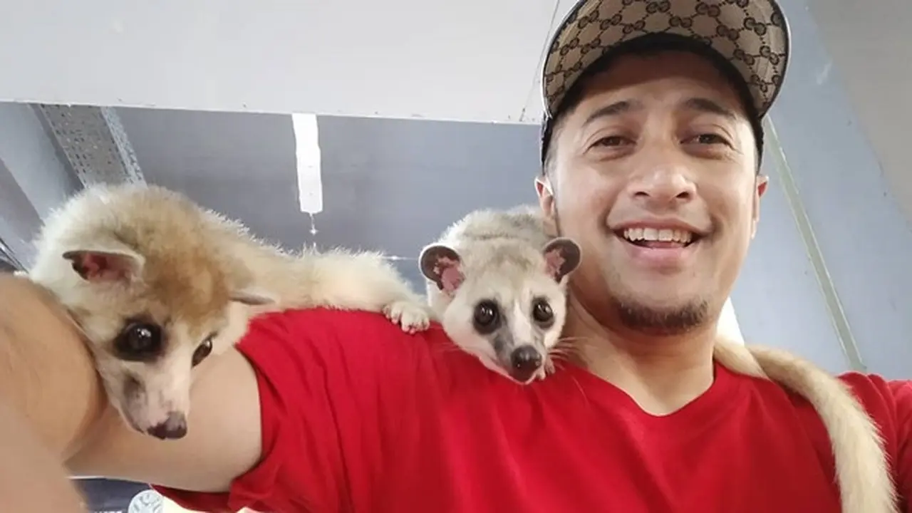 Mengungkap Karakter dan Kepribadian Seorang Pecinta Binatang