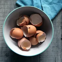 Elaine Yan Ling Ng, manfaatkan limbah kulit telur menjadi ubin dinding yang bernilai tinggi. (Foto: Unsplash.com/Caroline Attwood).