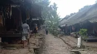 Babi Hutan dan Monyet Teror Ladang Petani Badui