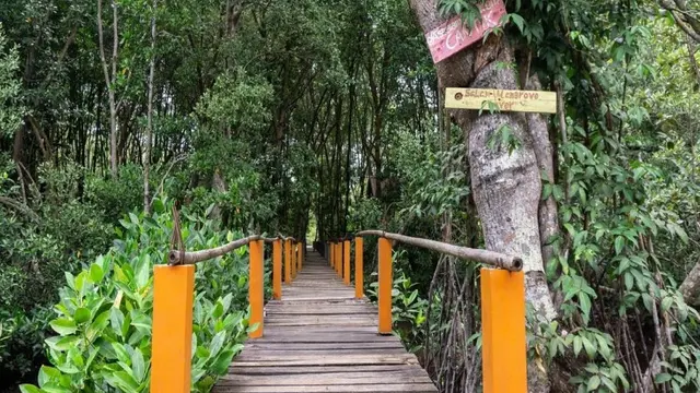 Ekowisata Alam Mangrove Pandang Tak Jemu