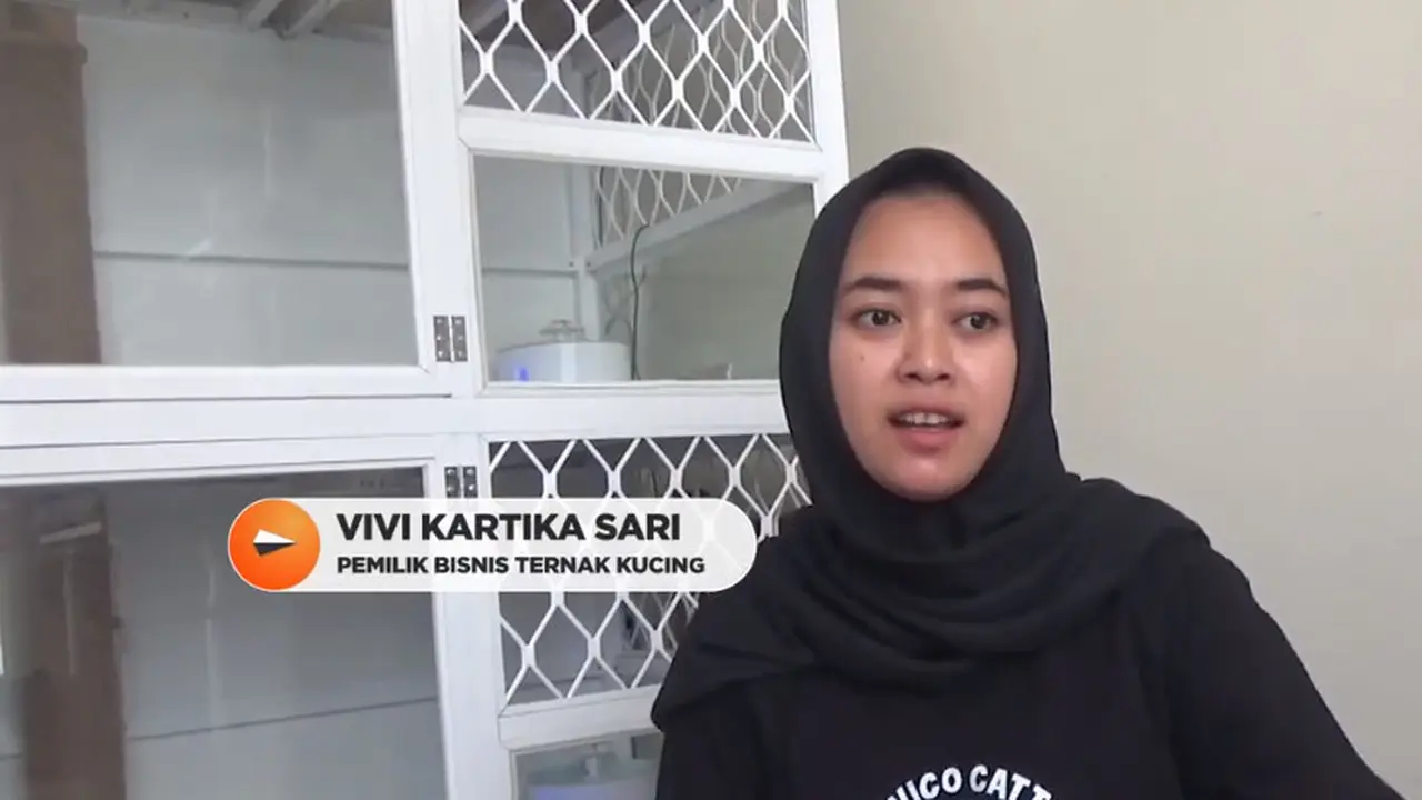 Pemilik bisnis kucing