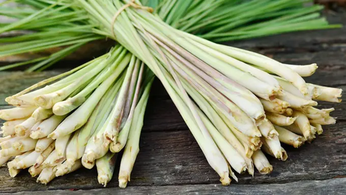 Photo: Copyright savingdinner.com