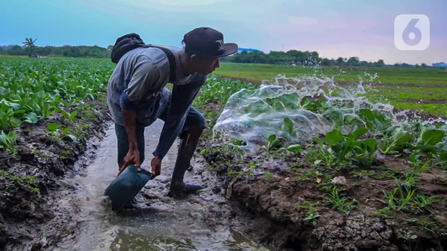Upah Harian Buruh Tani Naik Tipis