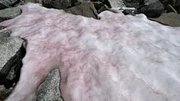 Foto udara pada 4 Juli 2020 di atas gletser Presena dekat Pellizzano, Italia menunjukkan salju berwarna pink atau merah muda. Para ilmuwan di Italia kini tengah meneliti penampakan misterius es pink atau merah muda di Pegunungan Alpen yang diduga disebabkan alga. (Photo by Miguel MEDINA / AFP)