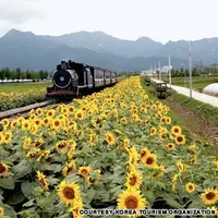 Seomjin River Train Village, Korea Selatan. (Korea Tourism)