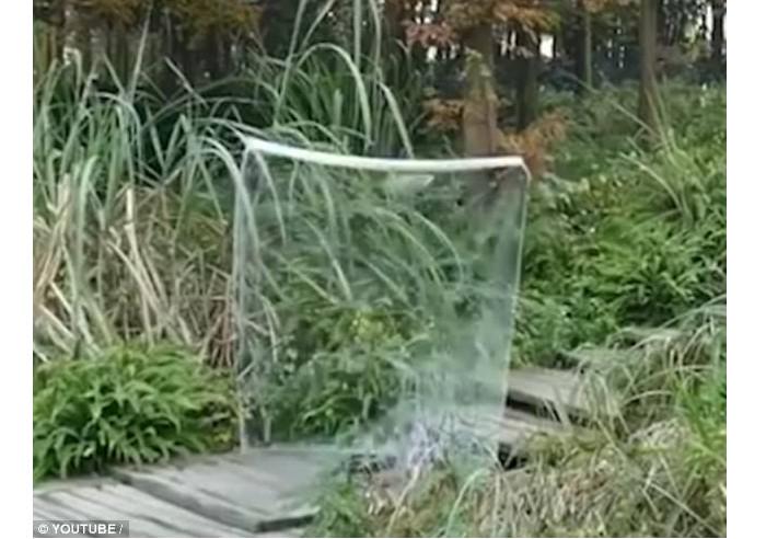 Video yang memperlihatkan jubah tak terlihat viral di internet (Sumber: DailyMail/ YouTube: OverlookingAsiaPasific)