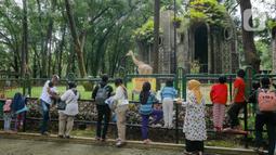 Pengunjung melihat jerapah di Taman Margasatwa Ragunan, Jakarta, Senin (28/2/2022). Tempat wisata di Jakarta ramai dikunjungi warga saat libur Isra Miraj 2022. (Liputan6.com/Herman Zakharia)