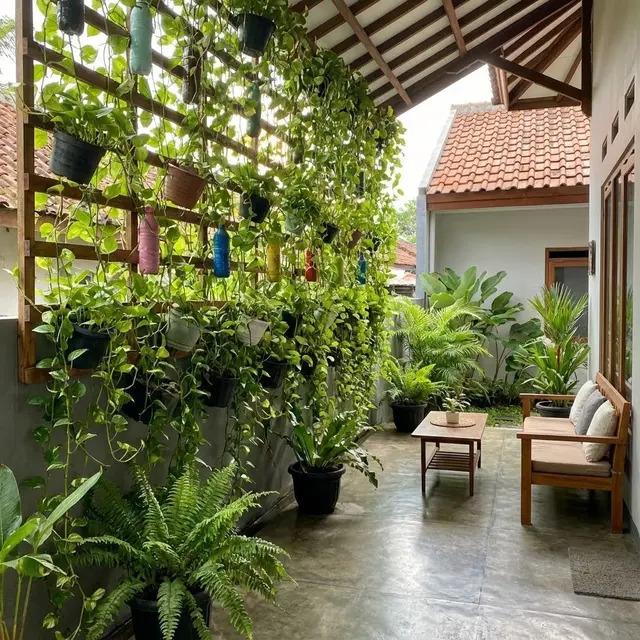 Model Teras Rumah yang Sejuk Hanya dengan Tanaman Murah