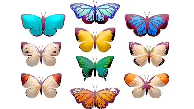 Contoh Gambar Dekoratif (sumber: pixabay)