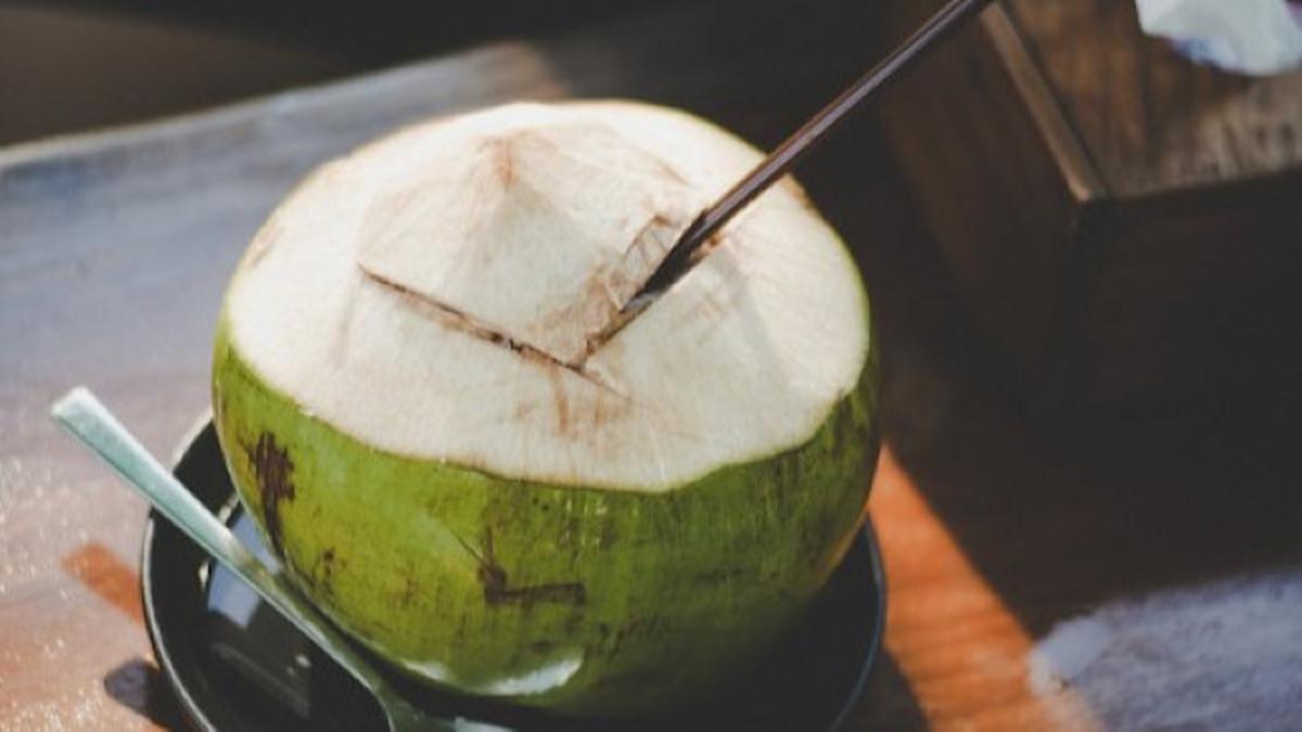 5 Khasiat Air Kelapa Ijo untuk Tubuh